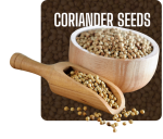 Coriander Seeds (Dhana) - Premium Quality - Image 2
