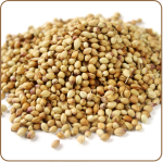 Coriander Seeds Image-3