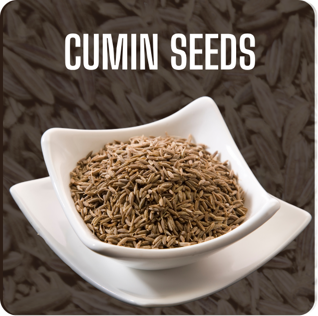 Cumin Seeds Cumin Seeds