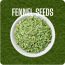 Fennel Seeds Image-1