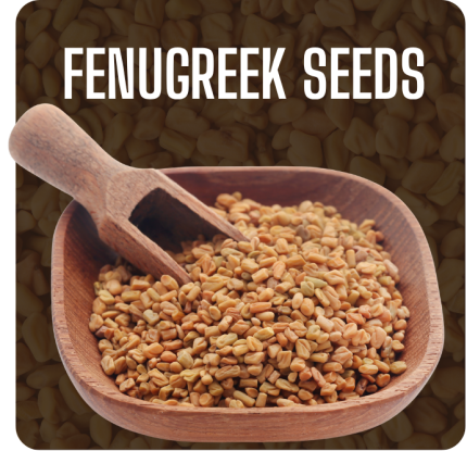 Fenugreek Seeds Image-1
