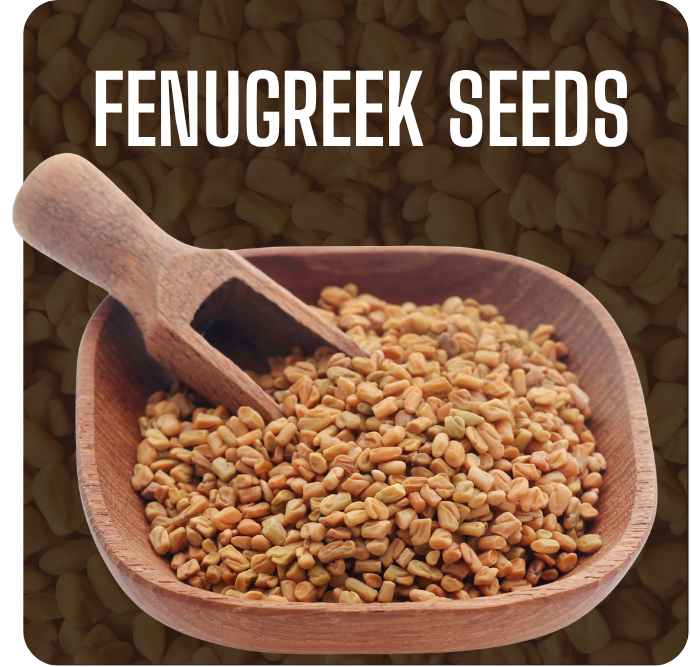 Fenugreek Seeds Fenugreek Seeds Image-1